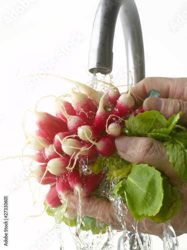 Photo: Rinsing radishes under the tap water Rinsing radishes under the tap water