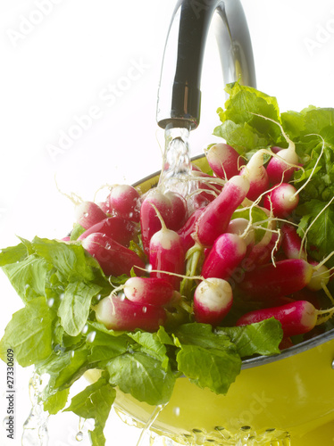 Photo: Washing radishes under the tap water Washing radishes under the tap water