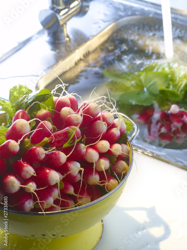Photo: radishes in the kitchen radishes in the kitchen