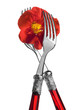 Two forks with red nasturtium