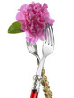 Two forks with flower:wedding meal