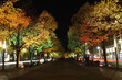 Foto: Straßencafe Unter den Linden während des Festivals of Lights Straßencafe Unter den Linden während des Festivals of Lights