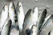 Fish in market