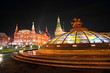 kremlin and museum in moscow russia