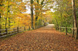 Lane Over Weak Bridge