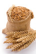 Wheat