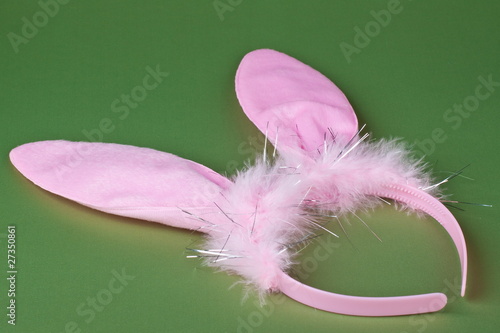 Foto: Bunny ears Bunny ears