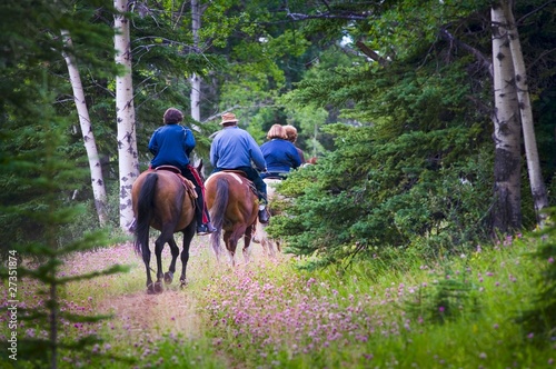 Photo: People Trail Riding In Forest People Trail Riding In Forest