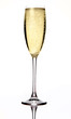 glass of champagne