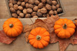 petites courges accompagnées de noix