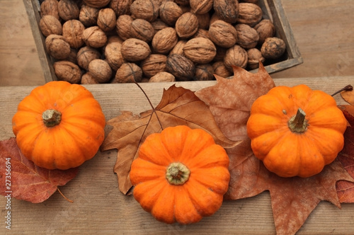 Foto: petites courges accompagnées de noix petites courges accompagnées de noix