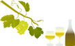green grapes and vine green grapes and vine