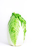 Fresh cabbage
