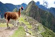 Ancient Inca lost city Machu Picchu, Peru.