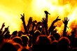 Jubelnde Konzertbesucher auf Rock-Konzert