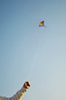 Kite