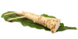 horseradish