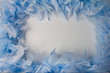 frame and the texture of blue feathers frame and the texture of blue feathers