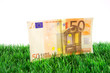 50 Euro