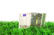 5 Euro