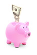 A pink piggy bank and 100 US dollar in it A pink piggy bank and 100 US dollar in it