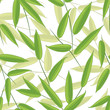 bamboo's leaves