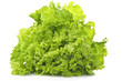 Insalata Riccia