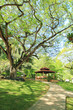 Tropical Park Garden