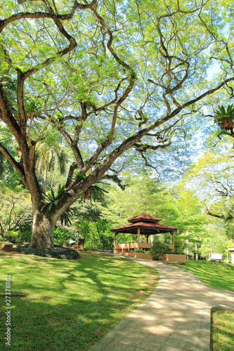 Photo: Tropical Park Garden Tropical Park Garden