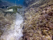 Foto: hamshark hamshark