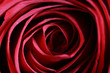 macro rose