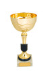 Golden cup