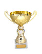 Golden cup