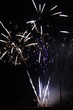 FIREWORKS PARTY