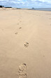 Plage de Normandie