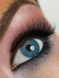 Blue eye make-up with flower