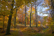 autum park