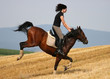 bockendes Pferd