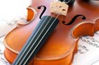 Violin