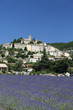 le temps de la lavande le temps de la lavande