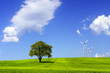 Windmill on green field