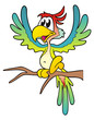 Parrot multicolored and isolated