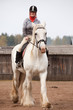Young woman riding shire horse i Young woman riding shire horse i