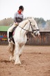 Young woman riding shire horse Young woman riding shire horse