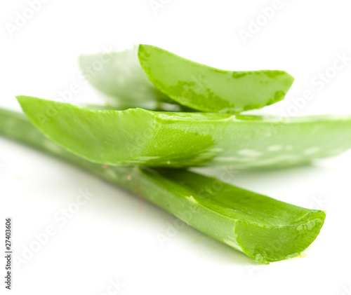 Photo: aloe vera aloe vera