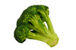 fresh broccoli on white background fresh broccoli on white background