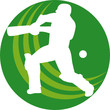 cricket batsman batting ball