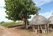 villaggio africano