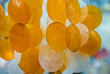 Craft shells hang