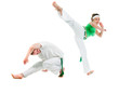 Contact Sport .Capoeira. Contact Sport .Capoeira.